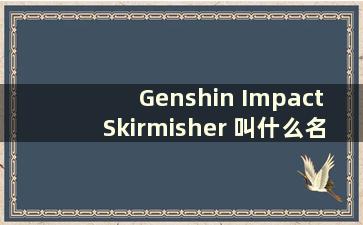 Genshin Impact Skirmisher 叫什么名字（Genshin Impact Skirmishers 是好人吗）